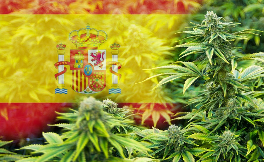 Legalización del cannabis en España